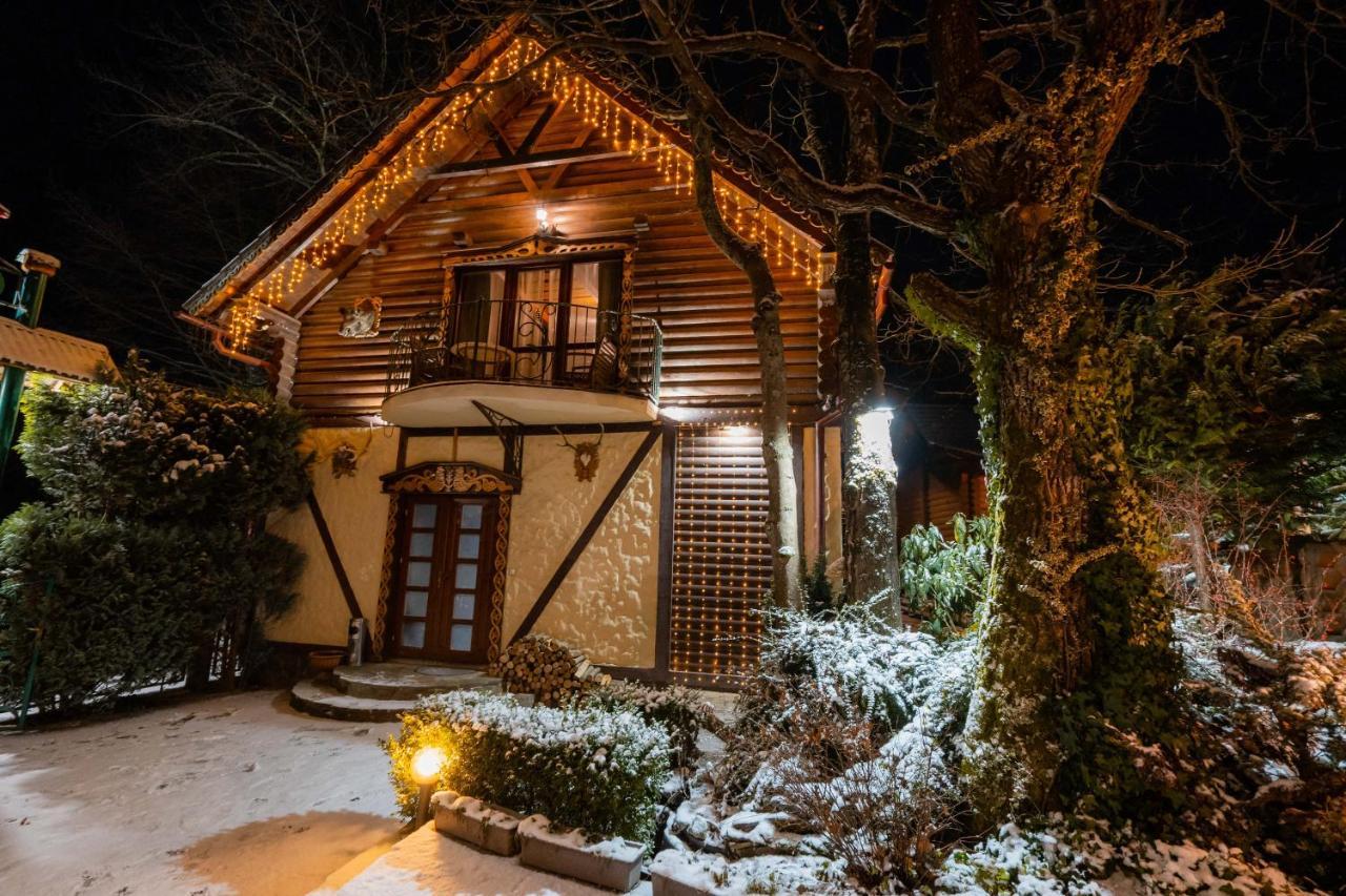 Villa Garden Hotel Солочин Екстериор снимка