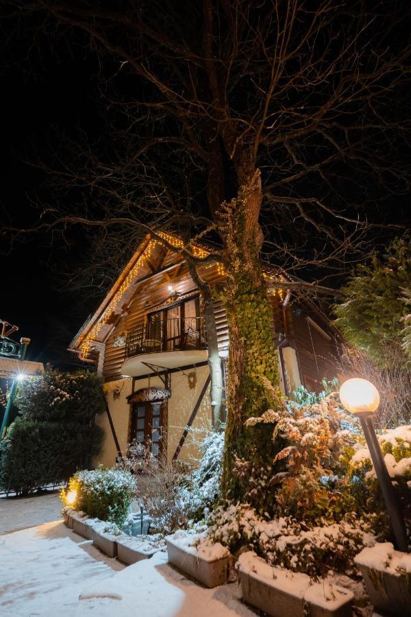 Villa Garden Hotel Солочин Екстериор снимка